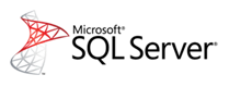 swlserver icon